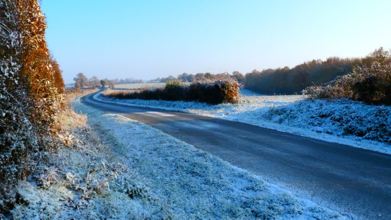 Winter wonderland